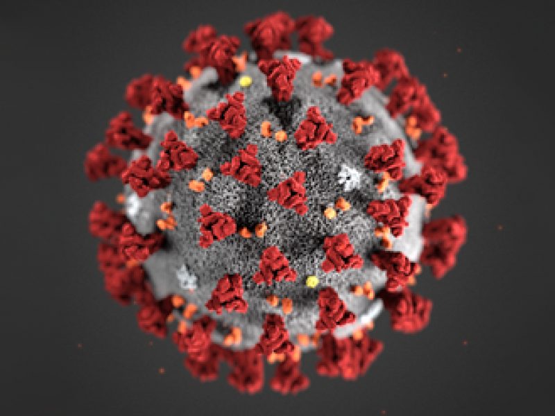 Koronavirus Tema