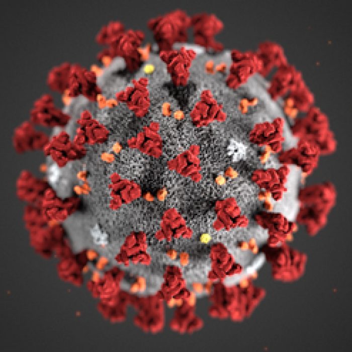 Koronavirus Tema