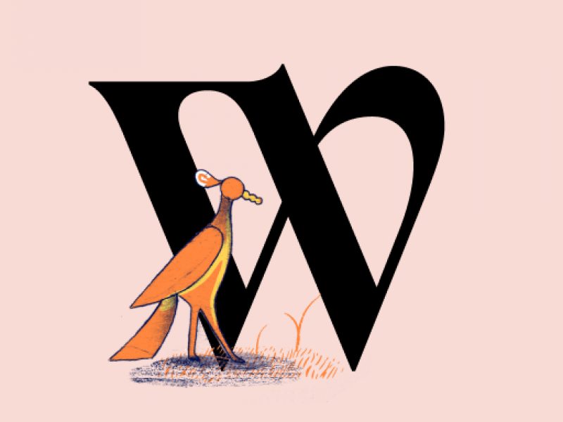 Whereby