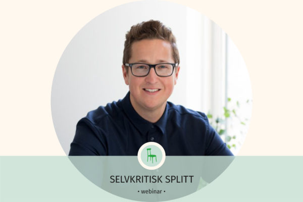 Selvkritisk splitt nettside Bilde til kurs siden ipr no copy 3