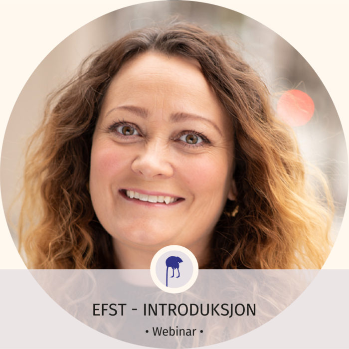 EFST introduksjon Anne Hilde nettside Bilde til kurs siden ipr no copy 3